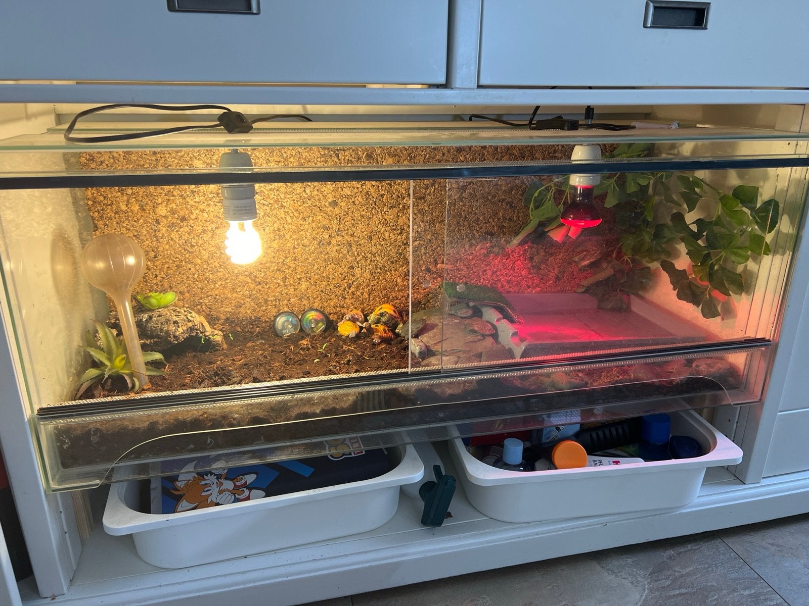 Terrarium voor reptielen – 100  40  40 cm, Dieren en Toebehoren, Ophalen, Zo goed als nieuw