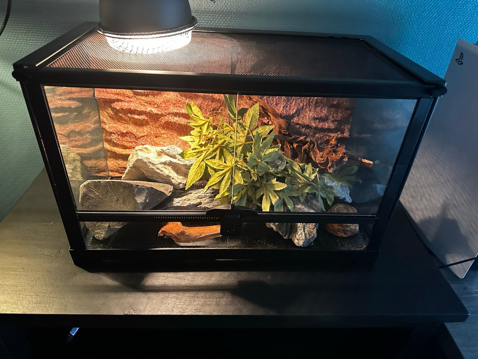 Compleet Exo Terra Terrarium inclusief warmtelamp inrichting, Ophalen of Verzenden