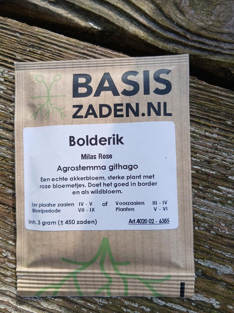 Bolderik Milas Rose Agrostemma githago, Ophalen of Verzenden, Volle zon
