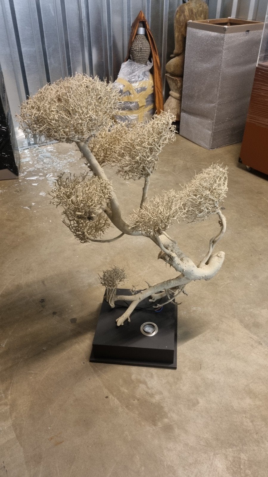 2 Prachtige Bonsai Bomen uit Thailand met Verlichting, Ophalen