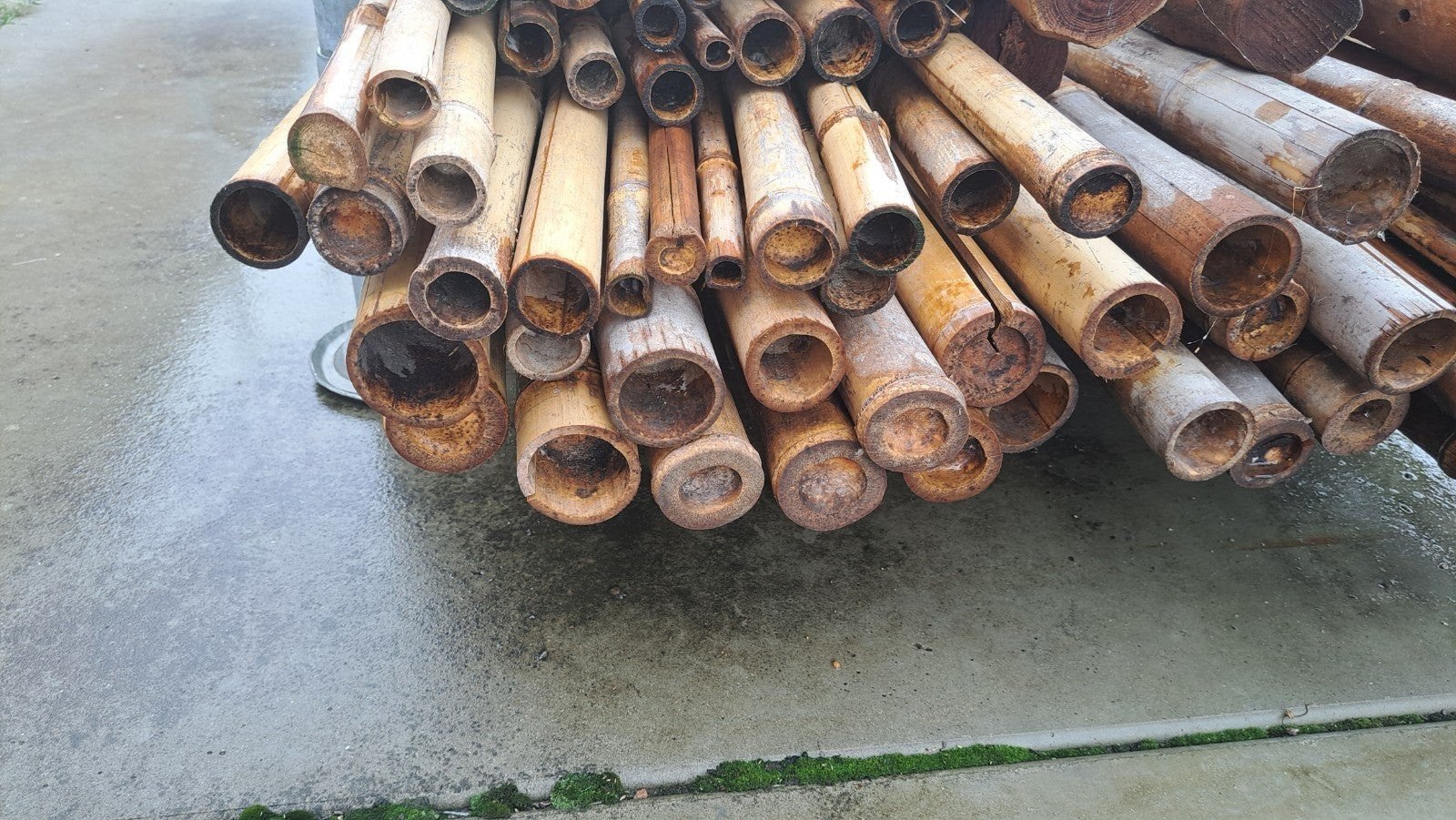 bamboe palen. verschillende lengtes en diktes., Doe-het-zelf en Verbouw, Metalen, Ophalen