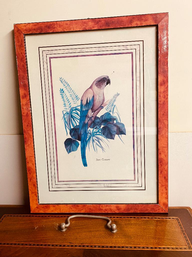 schilderij print, Minder dan 50 cm, Gebruikt, Ophalen of Verzenden, Print