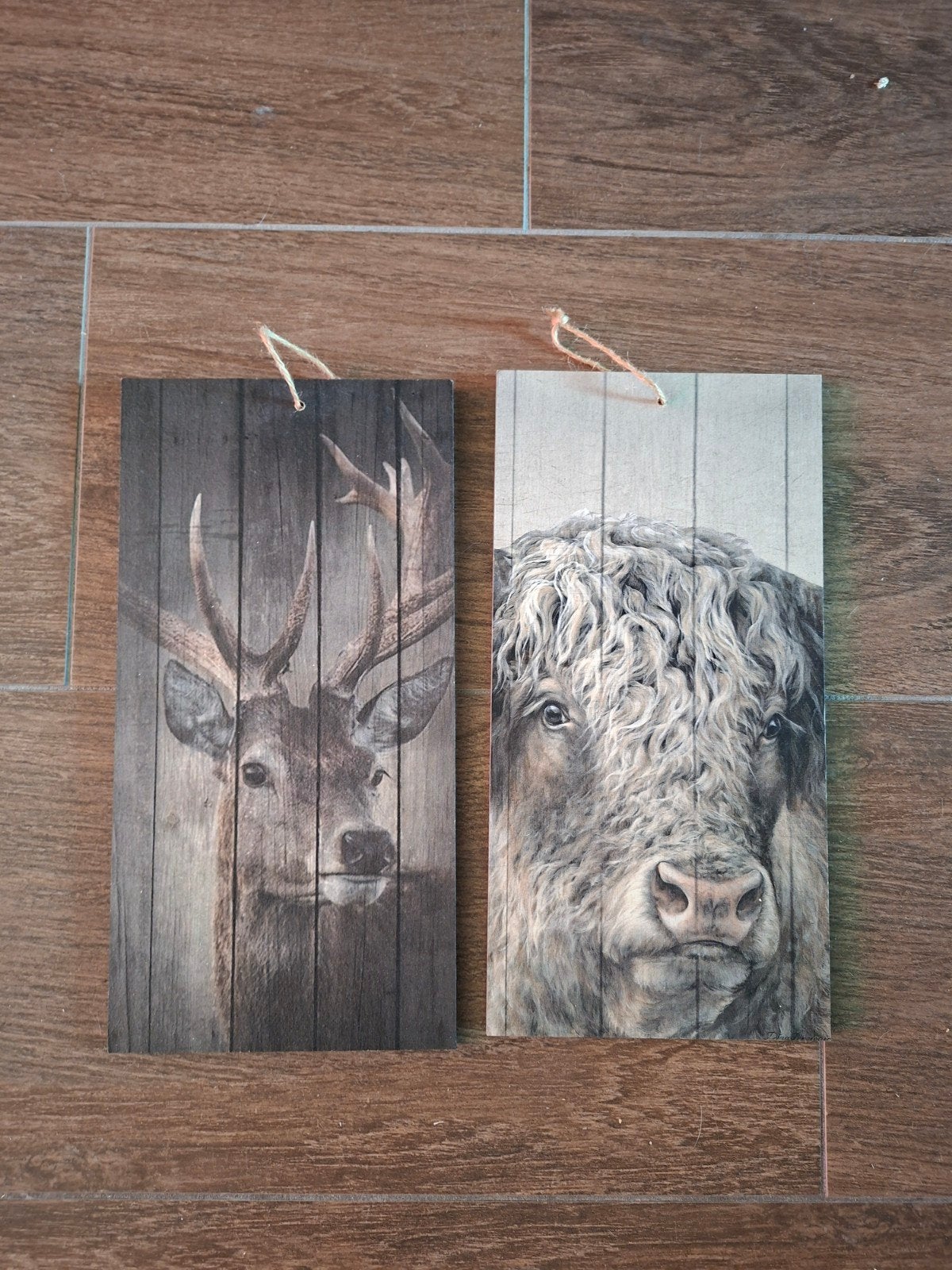 Houten wanddecoratie hert en Schotse Hooglander, Huis en Inrichting, Woonaccessoires | Overige, Ophalen, Hout, Meerkleurig, Landelijk