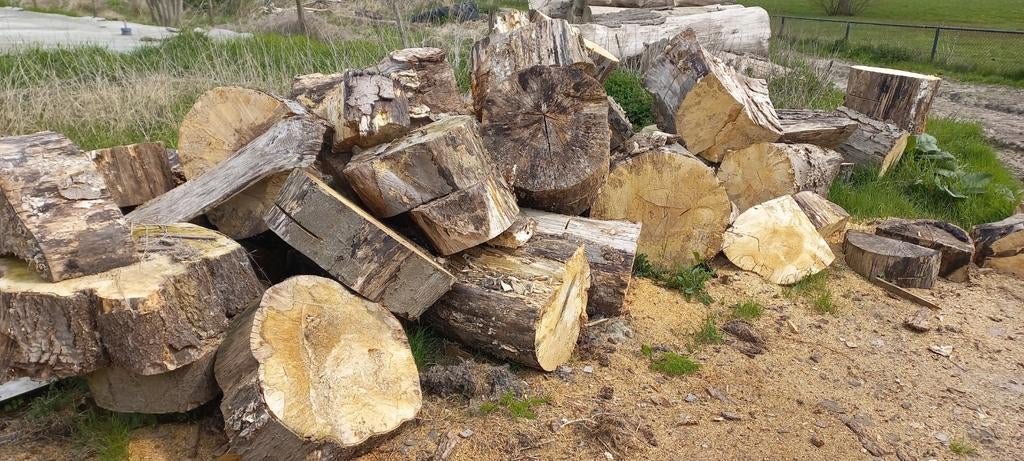 Haardhout bijna gratis, Tuin en Terras, Haardhout, Minder dan 3 m³, Ophalen of Verzenden