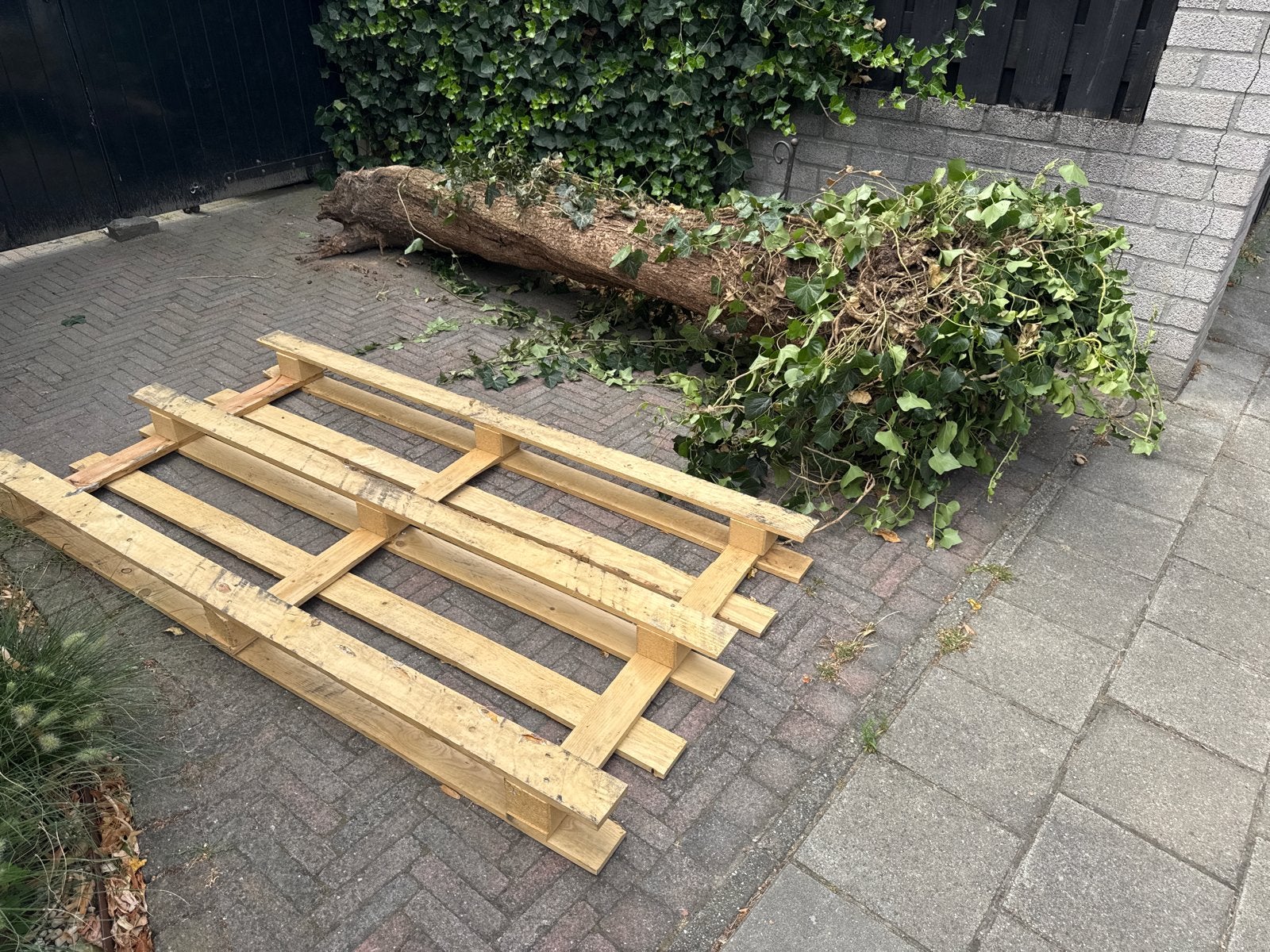 Houten pallet en boomstam voor kachel kachelhout, Ophalen