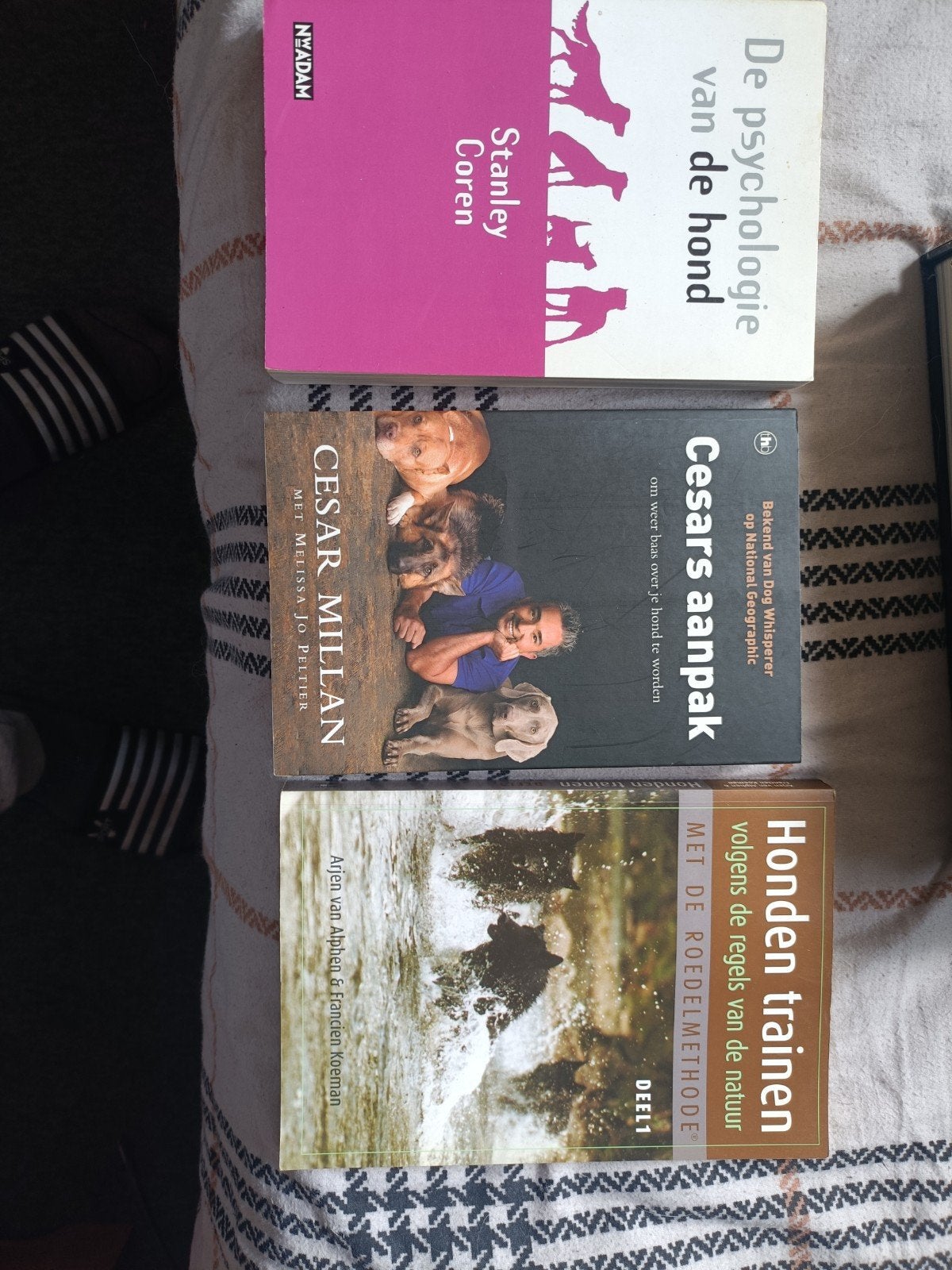 Hondenboeken: Psychologie, Aanpak, Training (3 stuks), Boeken, Dieren en Huisdieren, Ophalen of Verzenden, Gelezen, Honden, Stanley Coren, Cesar Millan