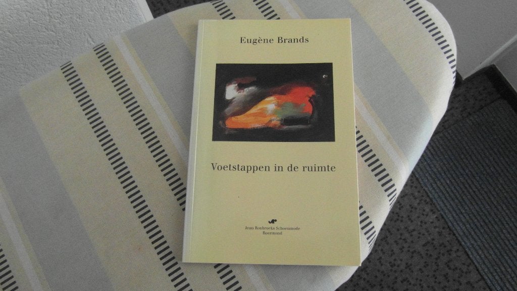 EUGENE BRANDS ; zeldzaam boek, niet in de boekwinkel te koop, Ophalen of Verzenden, Zo goed als nieuw, Schilder- en Tekenkunst