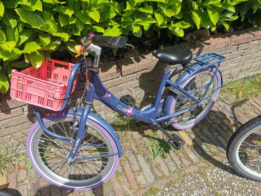 Alpina Clubb 20 inch meisjesfiets - Opknapper, Ophalen