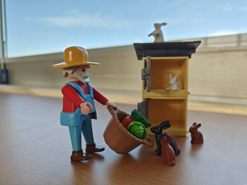 Playmobil 4491 - Konijnen, complete set, Kinderen en Baby's, Speelgoed | Playmobil, Zo goed als nieuw, Ophalen