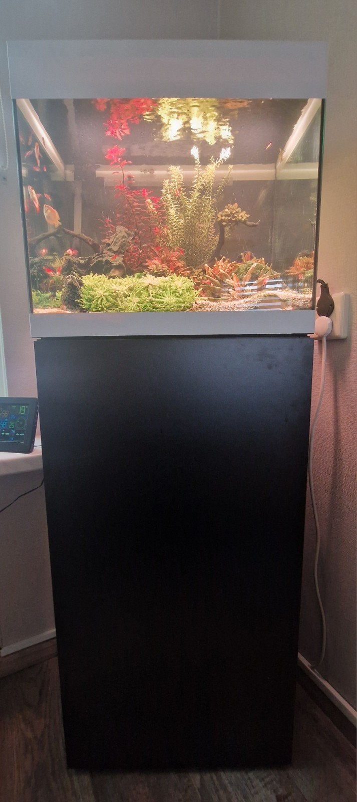 Te koop aquarium oasis 80 liter compleet, Ophalen, Gevuld zoetwateraquarium