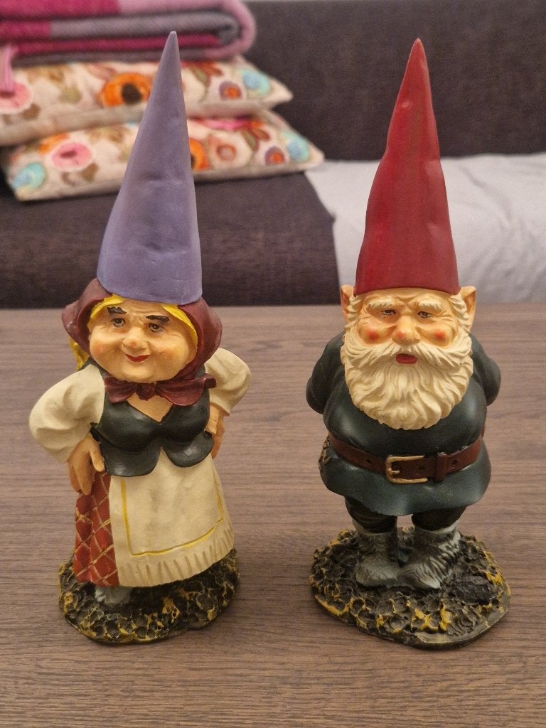 David de Kabouter & Lisa de Kabouter, Ophalen of Verzenden, Zo goed als nieuw, Overige typen