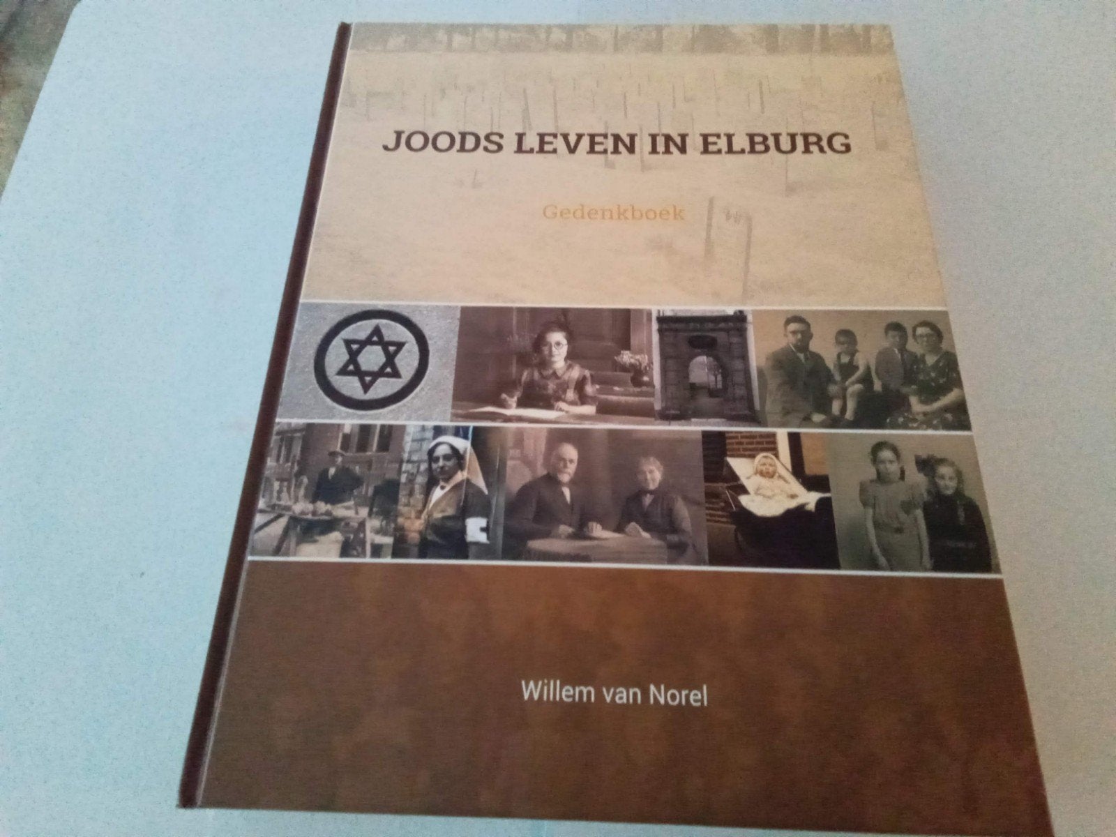 Joods leven in Elburg ( Willem van Norel, Boeken, Ophalen of Verzenden, Zo goed als nieuw