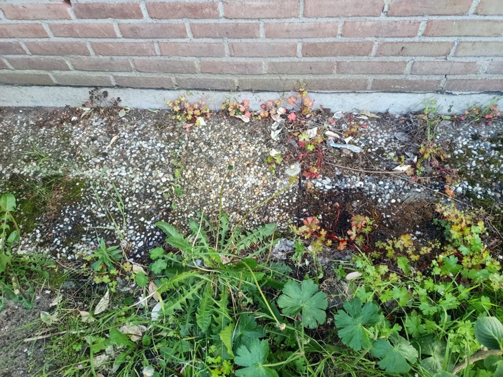 11 Grindtegels 40*60, Tuin en Terras, Ophalen, Gebruikt