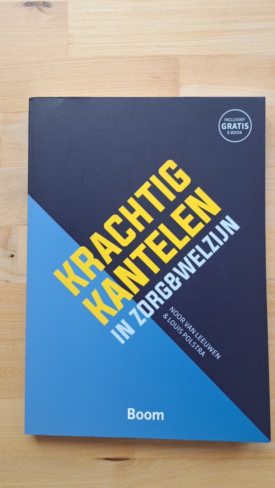 Krachtig Kantelen in Zorg & Welzijn - Boek + E-book, Boeken, Zo goed als nieuw, Noor van Leeuwen & Louis Polstra, Gamma, HBO