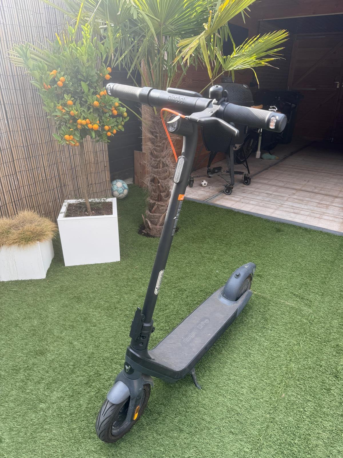 Ninebot E2 pro, Ophalen, Gebruikt, Elektrische step (E-scooter)
