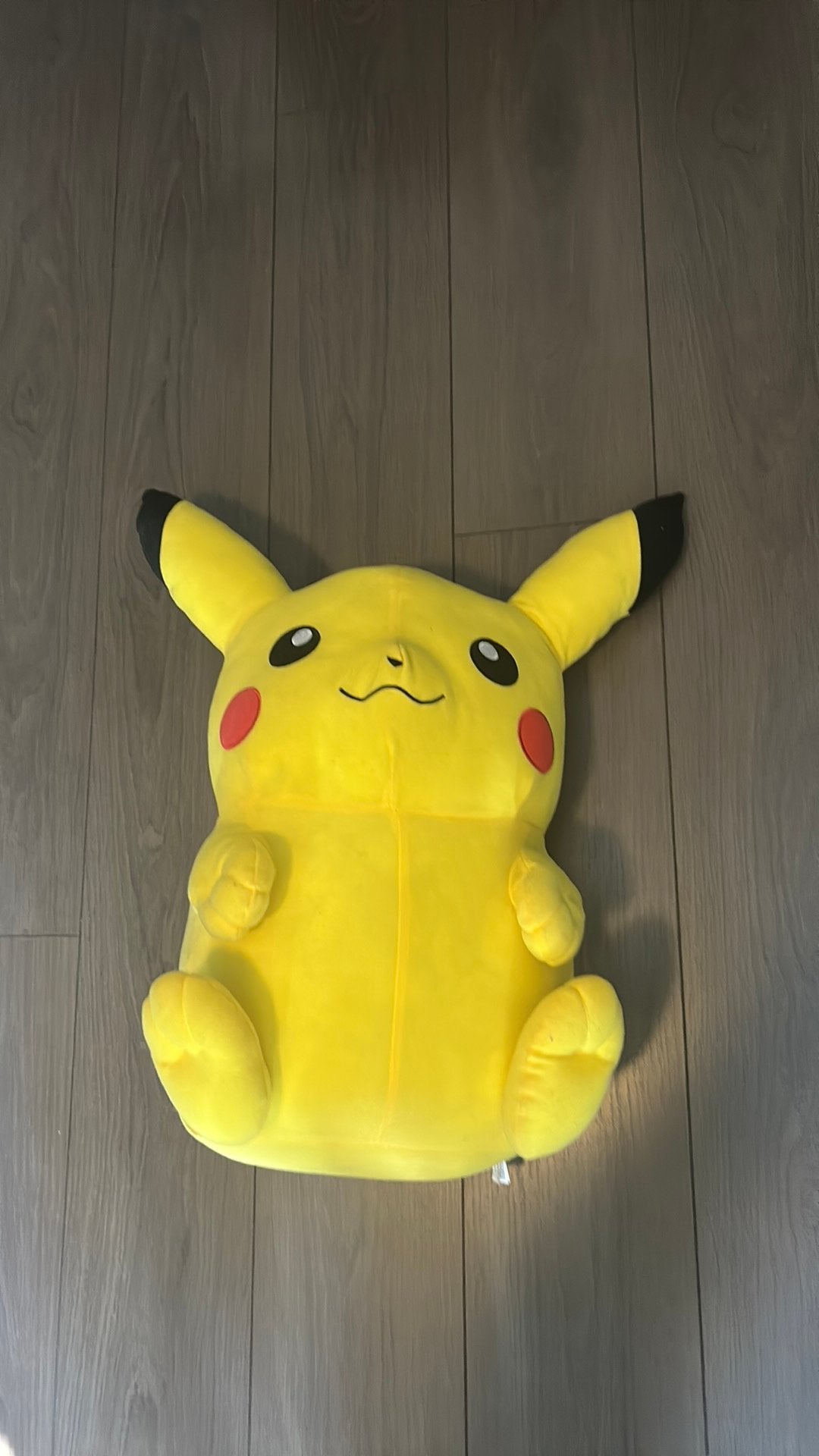 Grote picachu knuffel alleen voor ophalen, Ophalen of Verzenden, Gebruikt