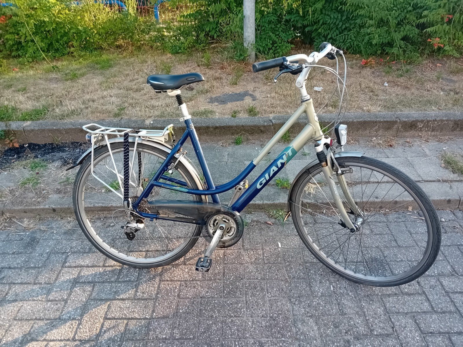 Giant Freerider alles werkt naar behoren, Ophalen, 28 inch, Velgrem, Giant