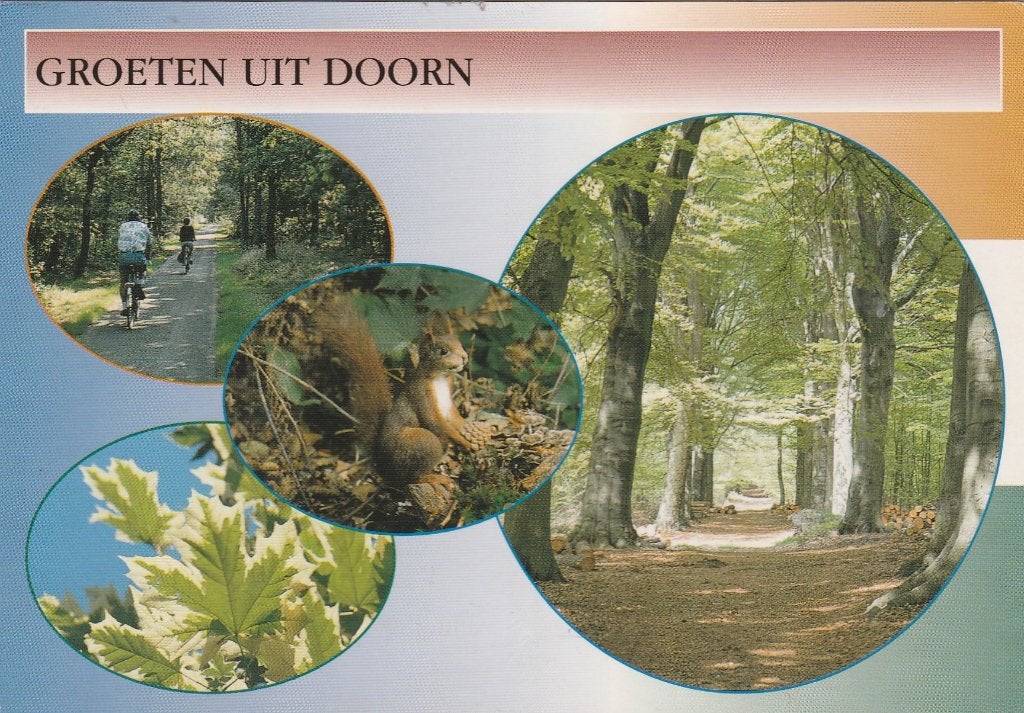 DOORN Fietspad Bos Eekhoorn Groeten, Verzenden, 1980 tot heden, Gelopen, Utrecht