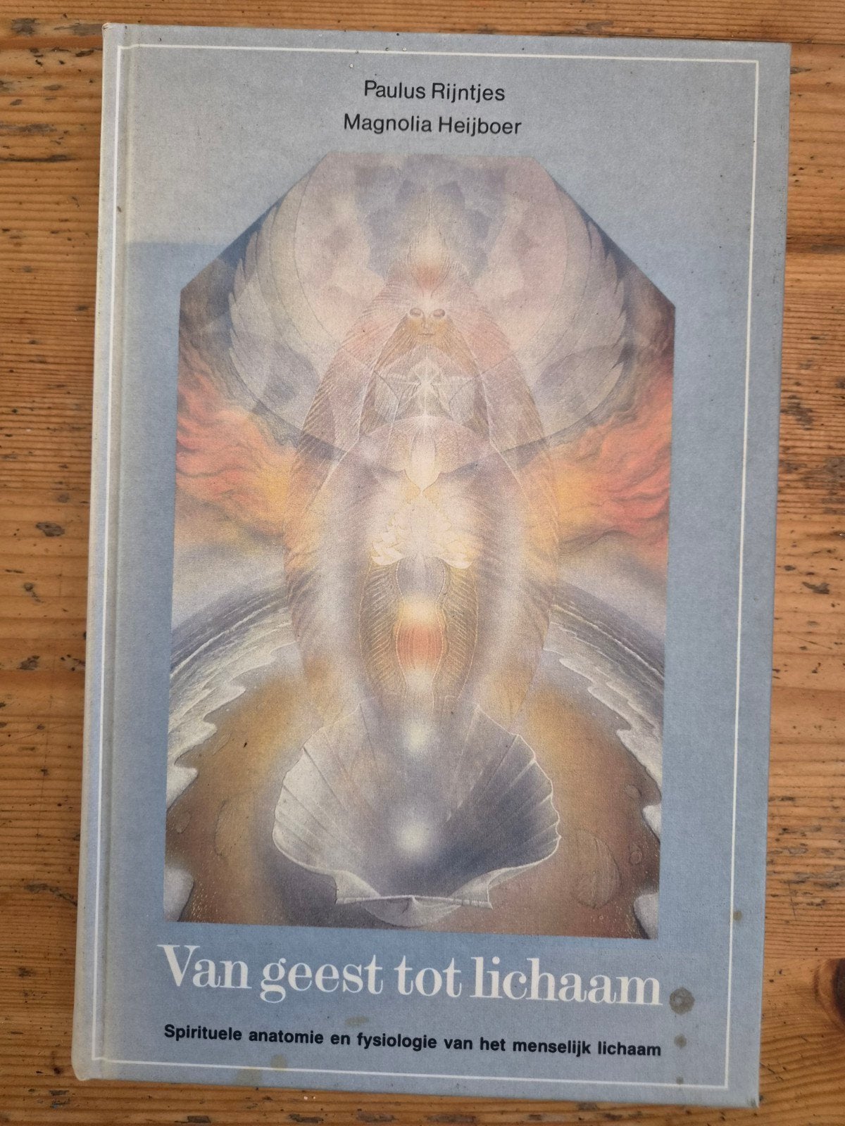 Van Geest tot Lichaam - Spirituele anatomie en fysiologie, Ophalen of Verzenden