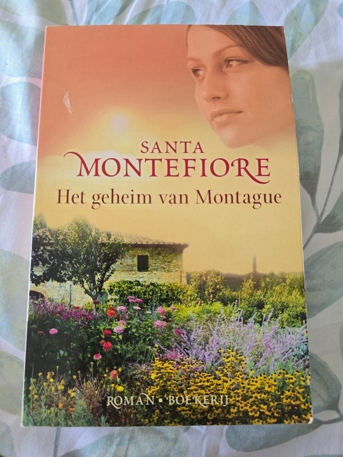 Santa Montefiore - Het geheim van Montague, Ophalen of Verzenden, Gelezen, Santa Montefiore, Nederland