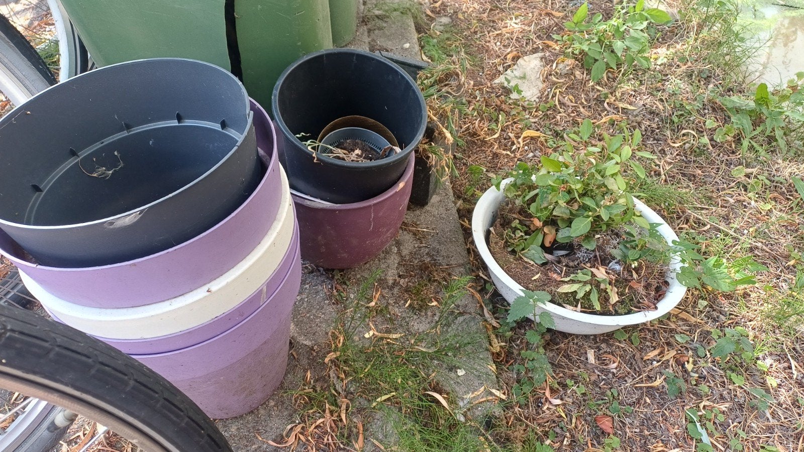 bloempotten gratis af te halen in pijnacker, Tuin en Terras, Ophalen, Rond, Steen, Minder dan 30 cm