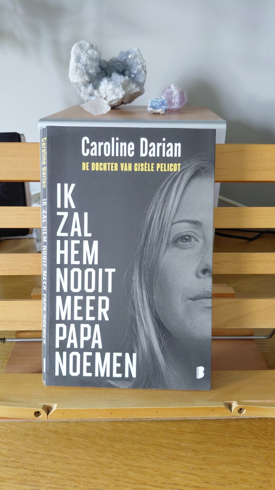 Ik zal hem nooit meer papa noemen - Caroline Darian, Boeken, Ophalen of Verzenden, Gelezen, Caroline Darian, Overige