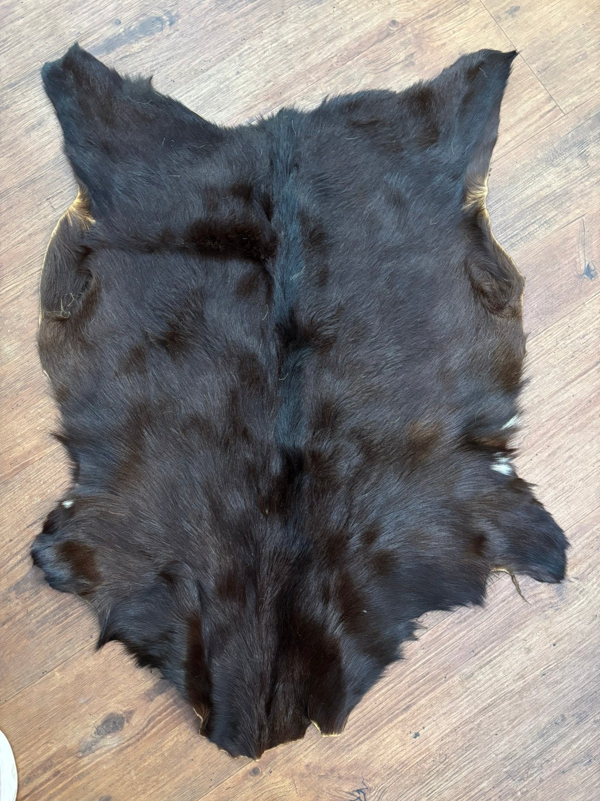 Bruin vacht kleedje 85 x 60 origineel bont , nieuwj, Verzenden, Bruin, 50 tot 100 cm
