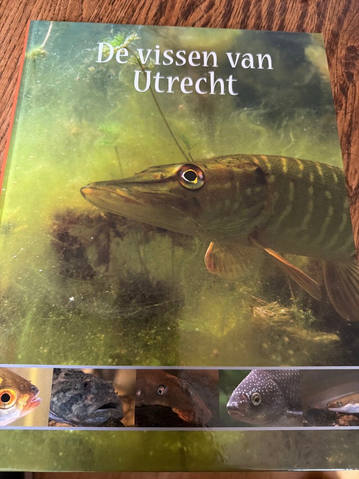 De Vissen van Utrecht - Naslagwerk over zoetwatervissen, Boeken, Ophalen of Verzenden, Nieuw, Natuur algemeen