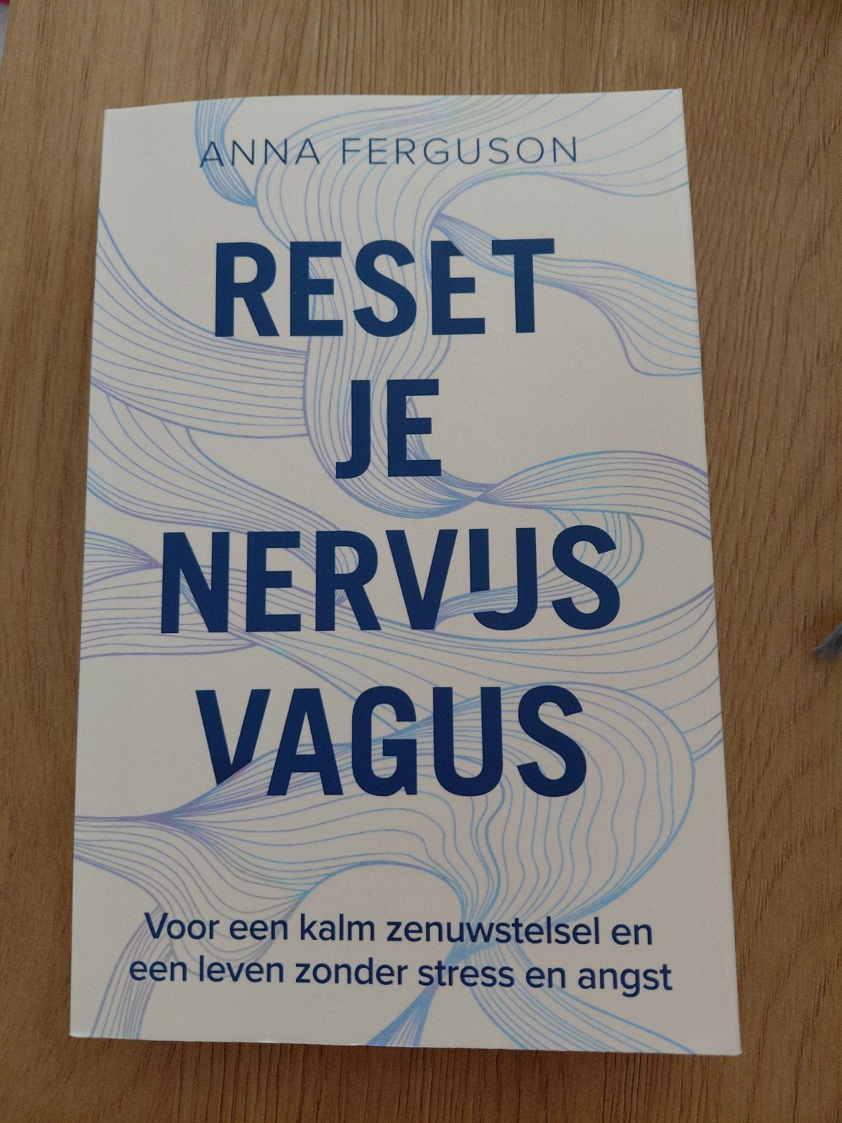 Anna Ferguson - Reset je nervus vagus, Ophalen of Verzenden, Zo goed als nieuw, Anna Ferguson
