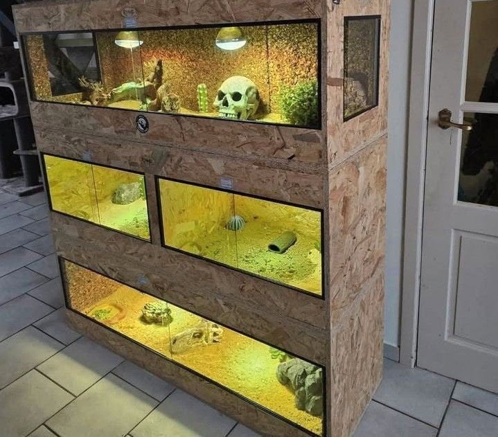 Osb3 terrarium RepHouSZ. Ook maatwerk, Ophalen, Nieuw, Terrarium of Paludarium