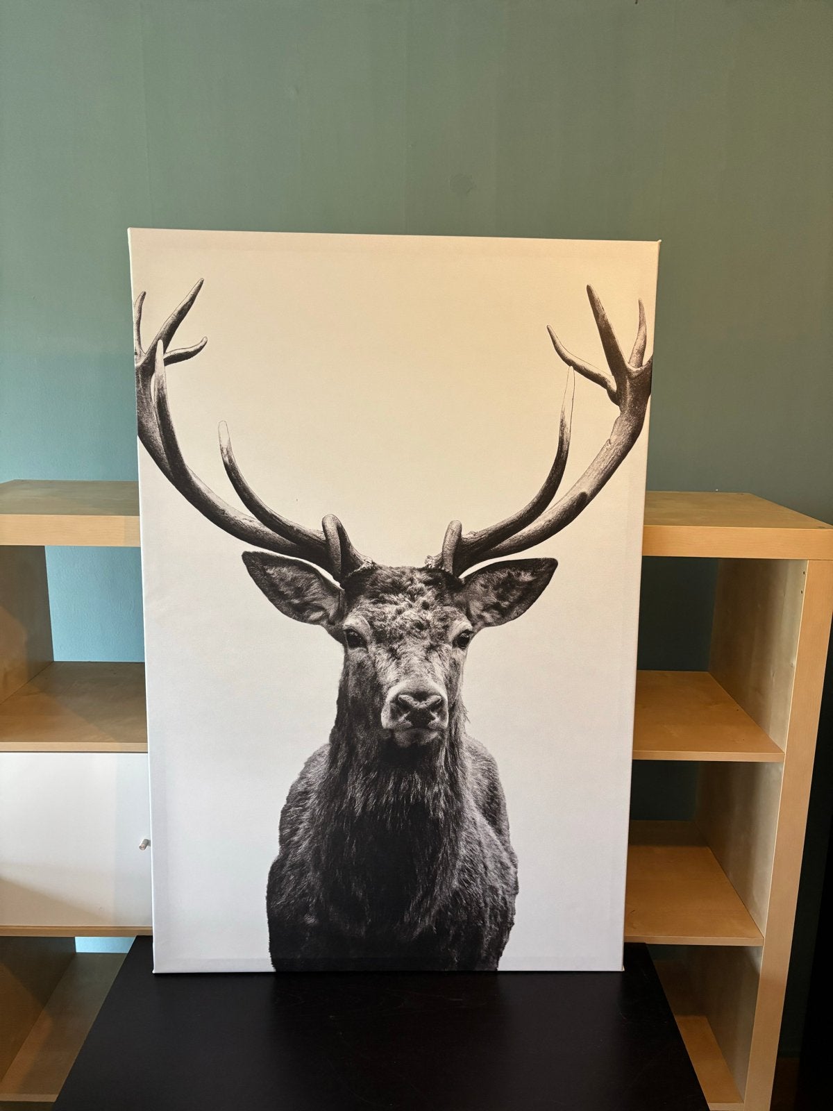 IKEA Schilderij Hert - Zwart-wit Canvas, Ophalen, Zo goed als nieuw, Schilderij, 75 – 100