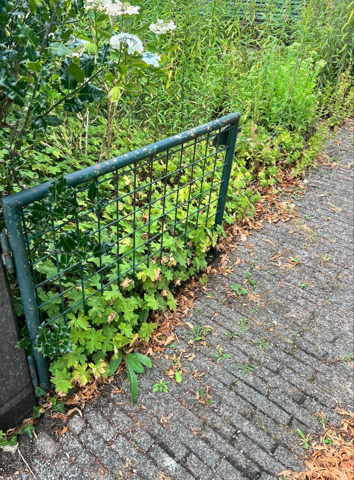 Oud metalen poortje / deurtje, Ophalen, Met poort, Gebruikt, Tuinhek