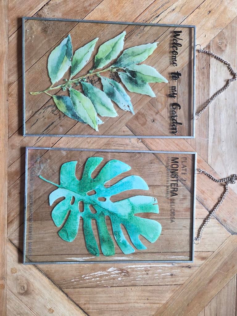 2 glazen wandborden monstera plant, Ophalen of Verzenden