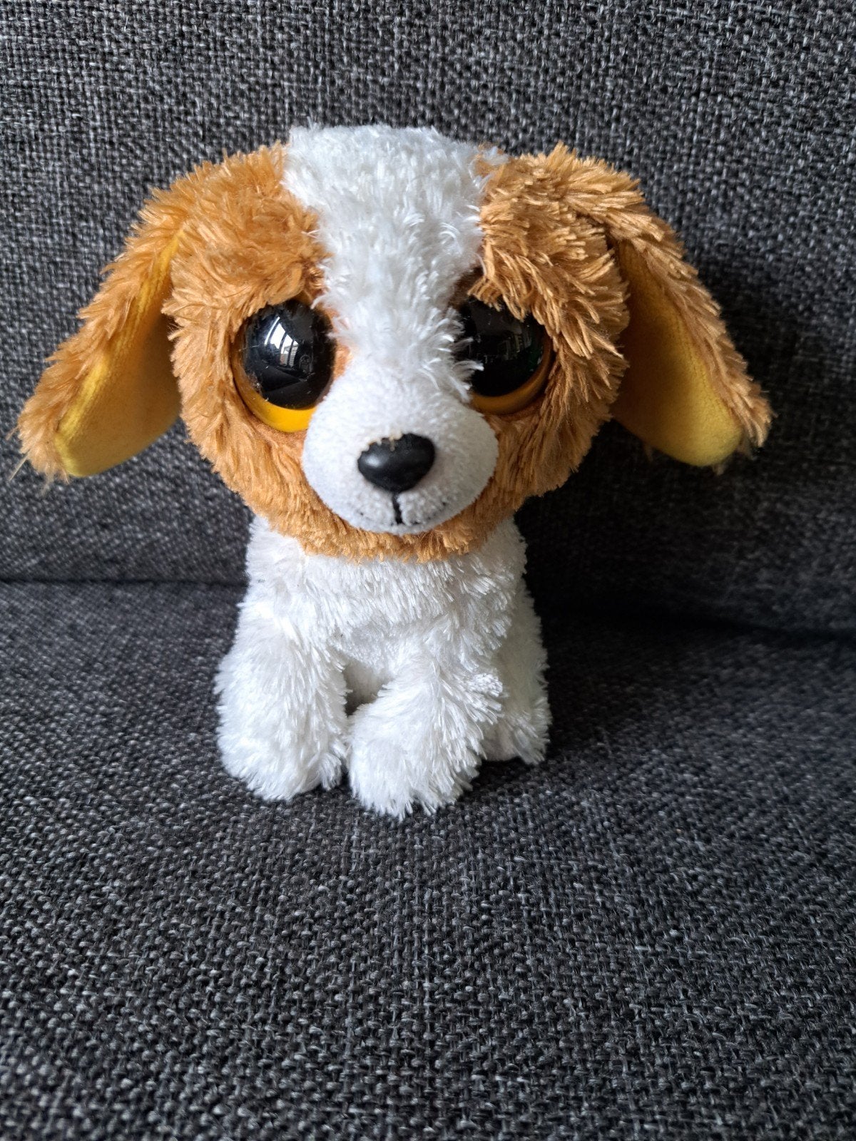 Ty Beanie boo knuffel hond, Ophalen of Verzenden, Hond