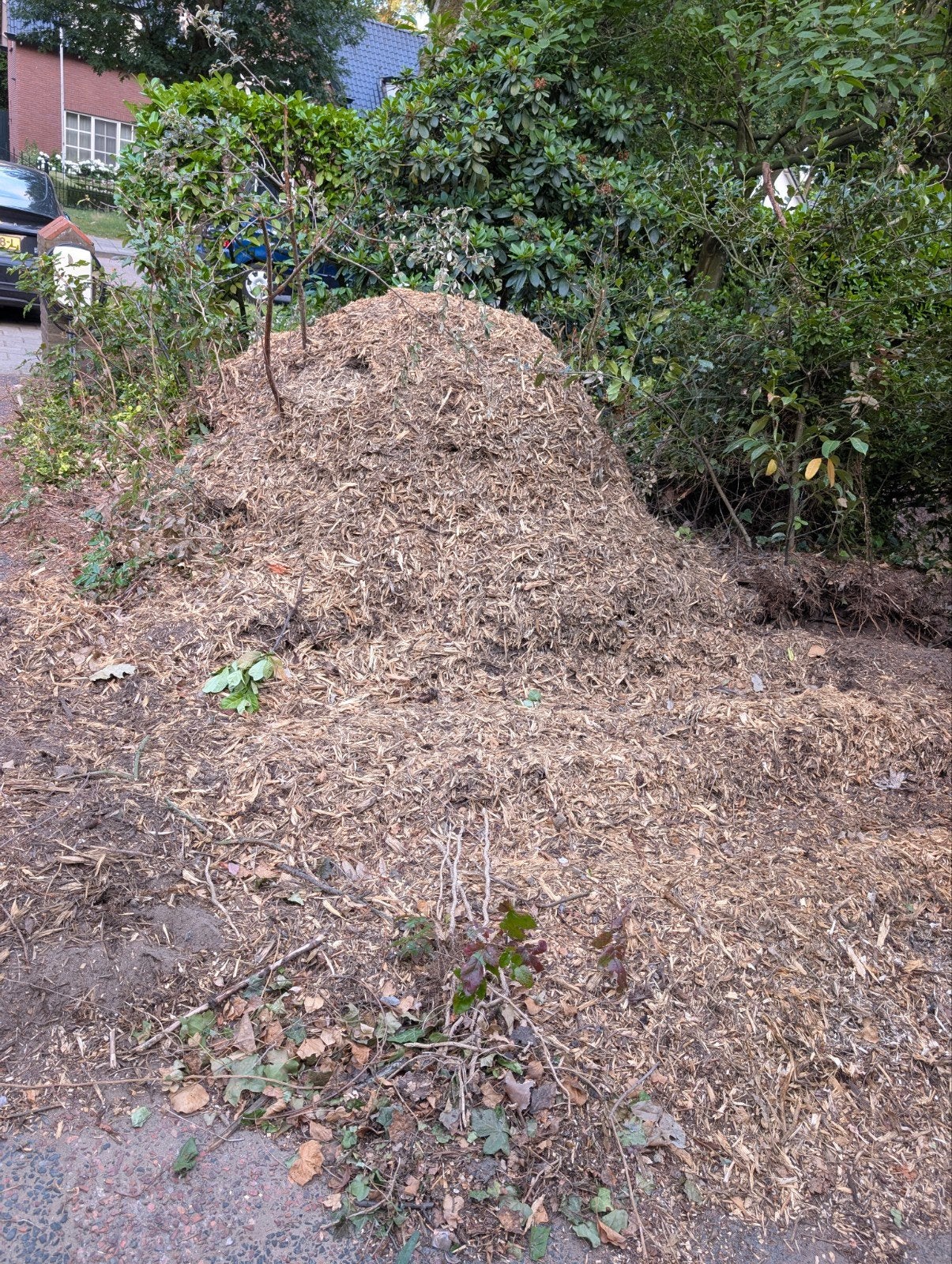 Houtsnippers / Mulch voor tuin of paden, Ophalen