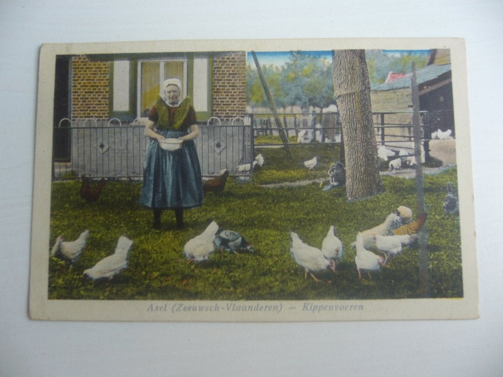 AXEL  =  ZEEUWS VLAANDEREN  -  KIPPENVOEREN   1928, Ophalen of Verzenden, 1920 tot 1940, Gelopen