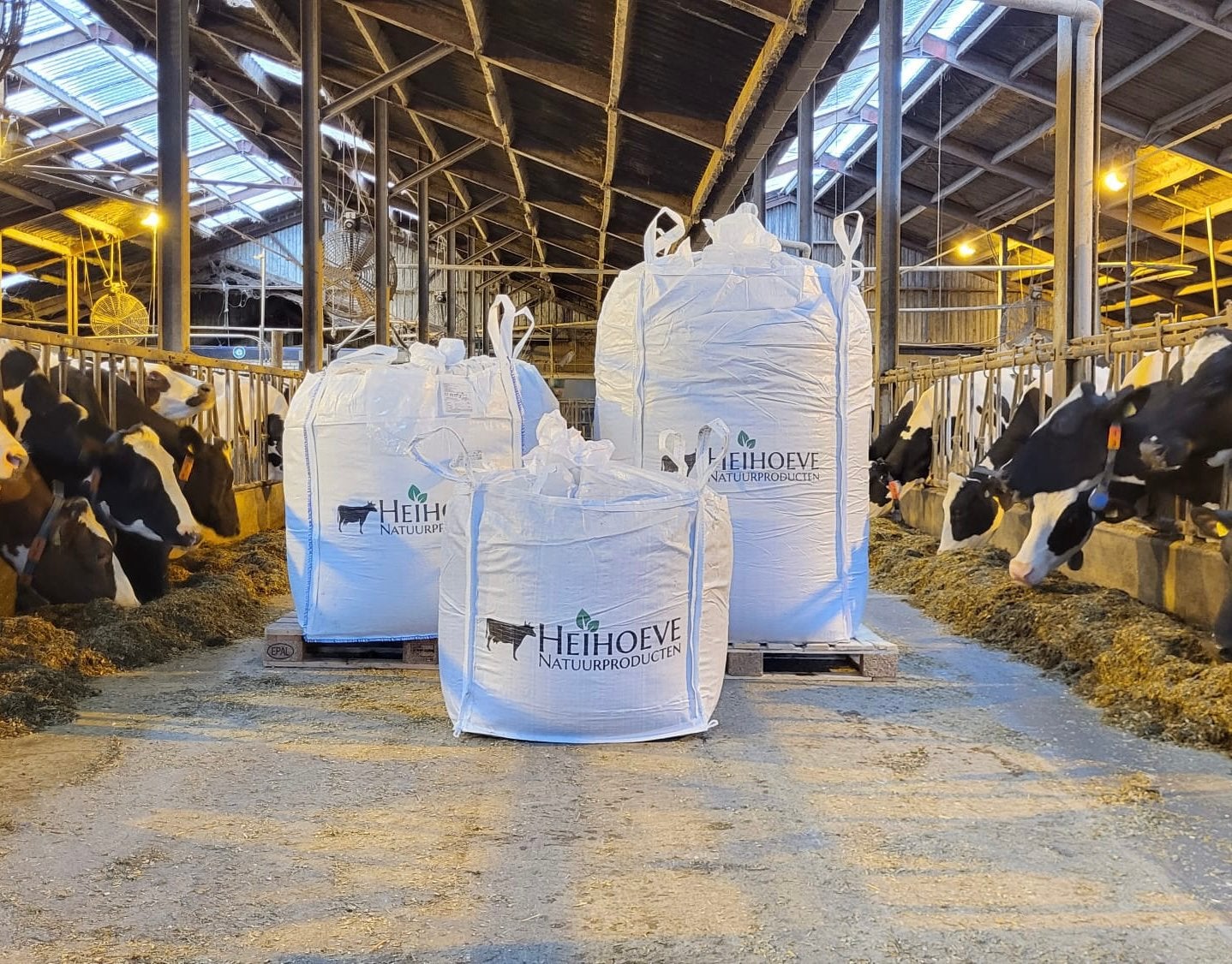 Gedroogde koemest recht van de boerderij, onkruidvrij, Ophalen of Verzenden, Mest