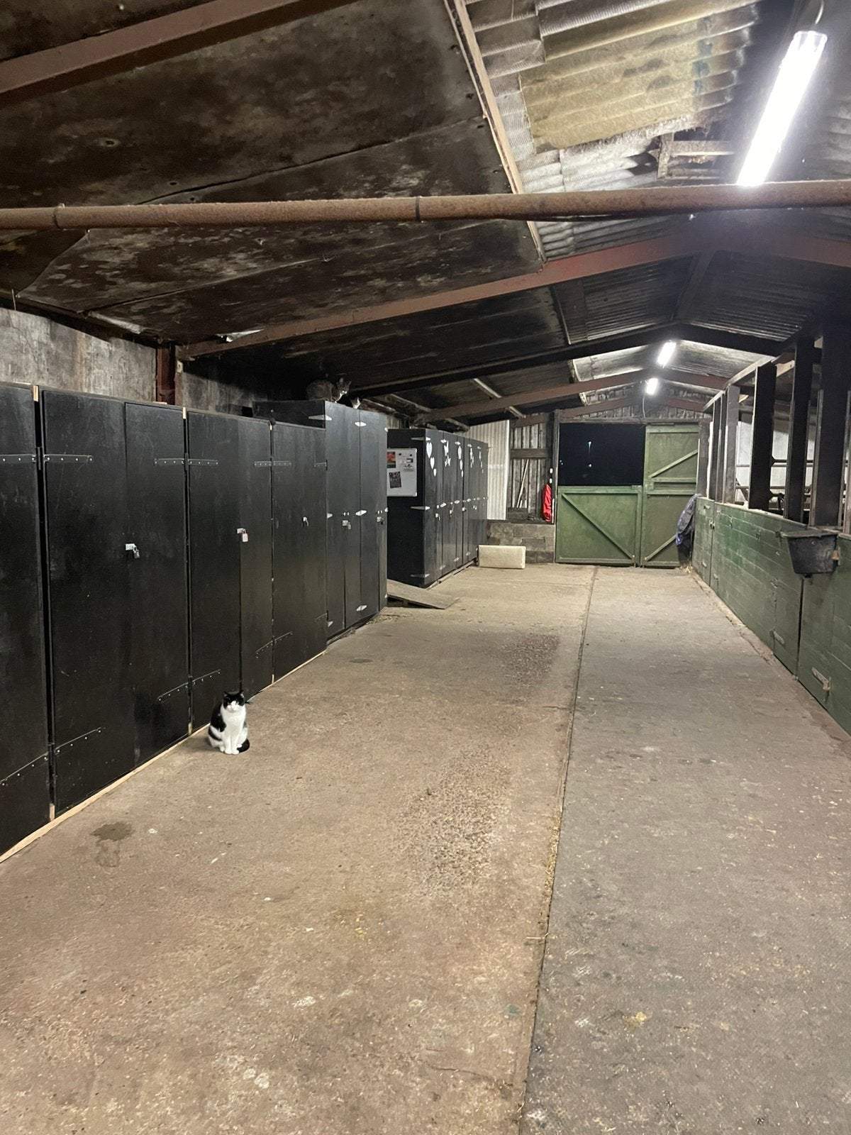 Shetlander box op all inn stal, Dieren en Toebehoren, Stalling en Weidegang, Stalling, Weidegang, Toebehoren, 1 paard of pony
