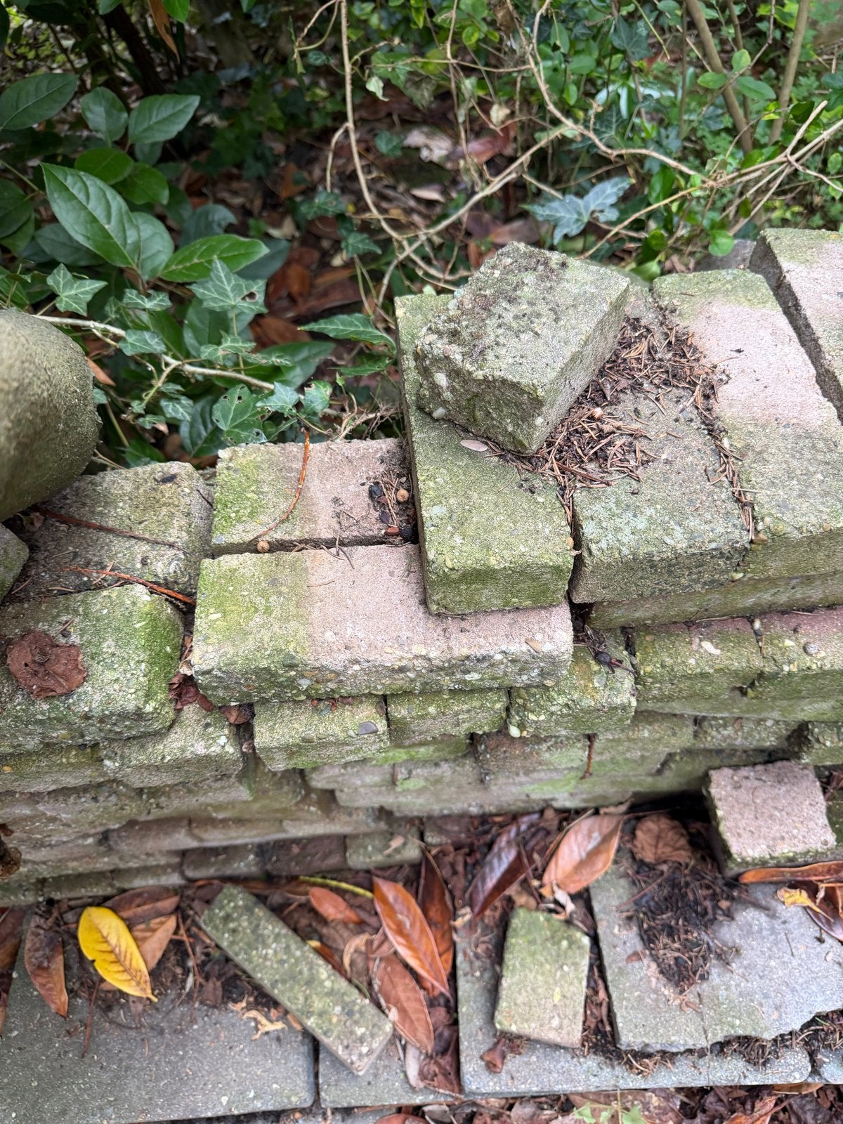 Gebruikte stenen voor tuin of bestrating, Doe-het-zelf en Verbouw, Ophalen of Verzenden, Gebruikt, Beton