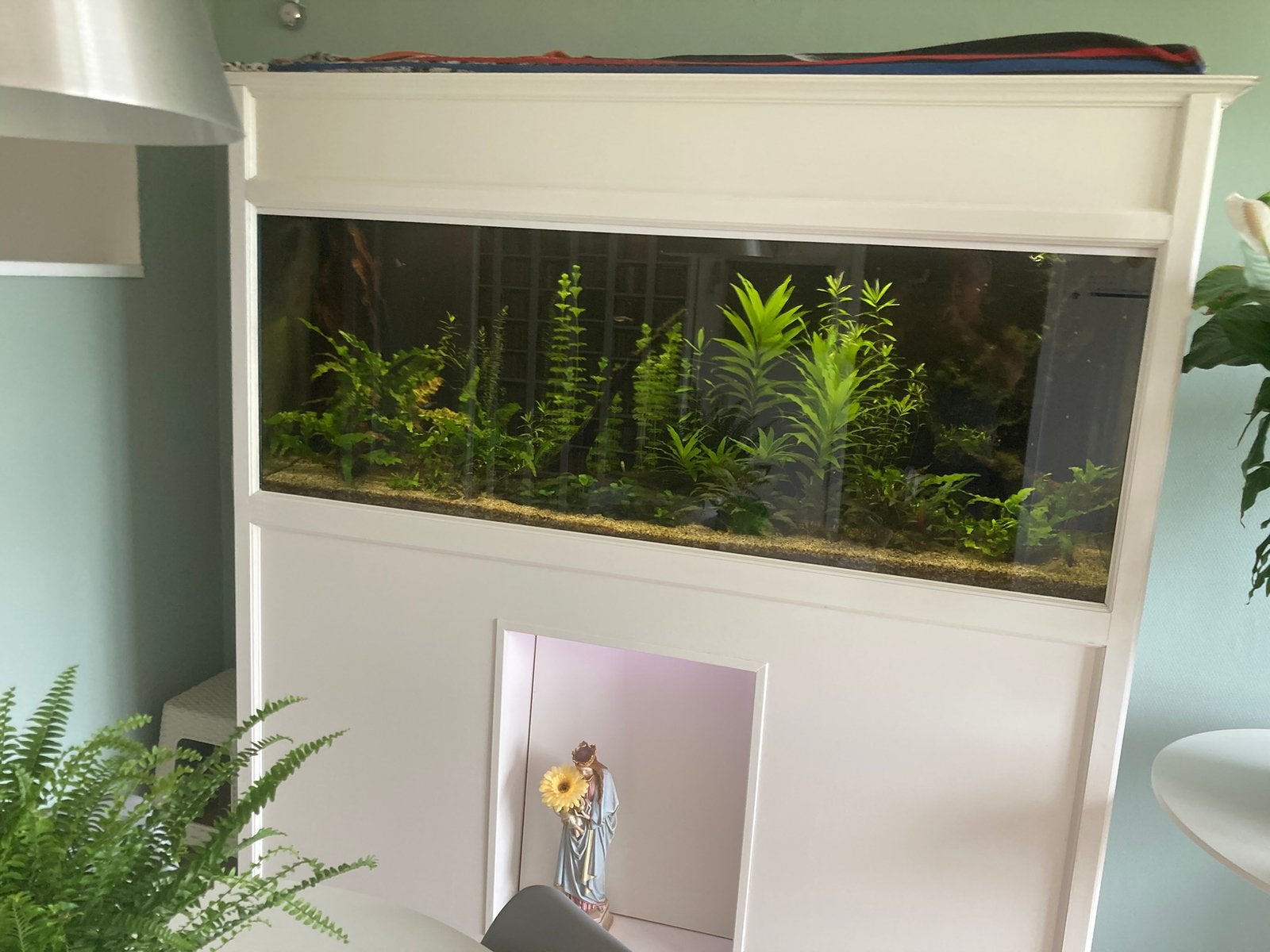 Aquarium, Ophalen, Zo goed als nieuw