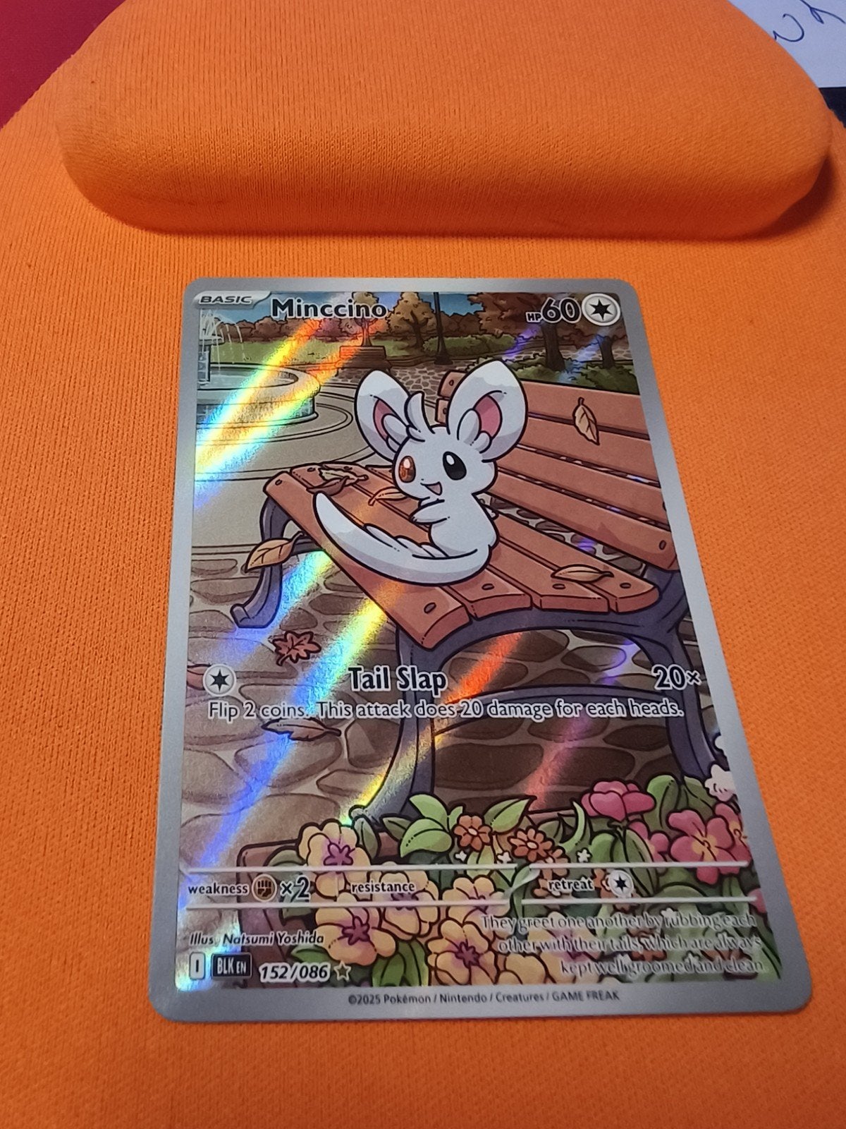 Minccino #152 van Black Bolt, Ophalen of Verzenden, Zo goed als nieuw