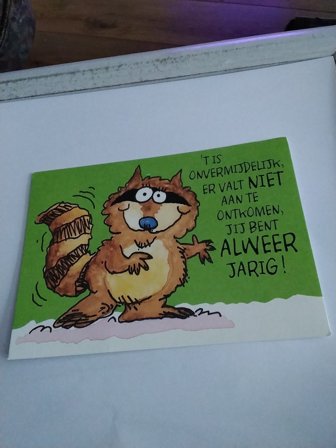 Grappige verjaardagskaart met wasbeer - Shoebox Greetings, Ophalen of Verzenden, 1980 tot heden, Gelopen, Overige thema's
