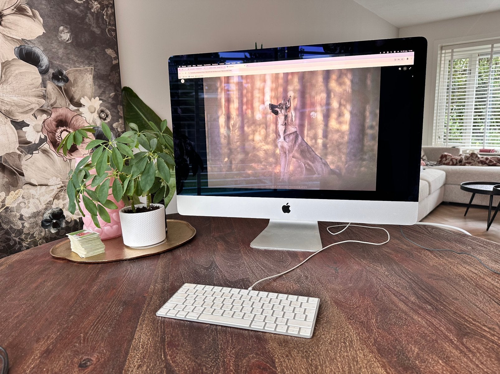 Apple iMac 27” Retina 5K 2017 i7 – 16GB – 2TB Radeon Pro 580, Computers en Software, Apple Desktops, Ophalen, IMac, Zo goed als nieuw