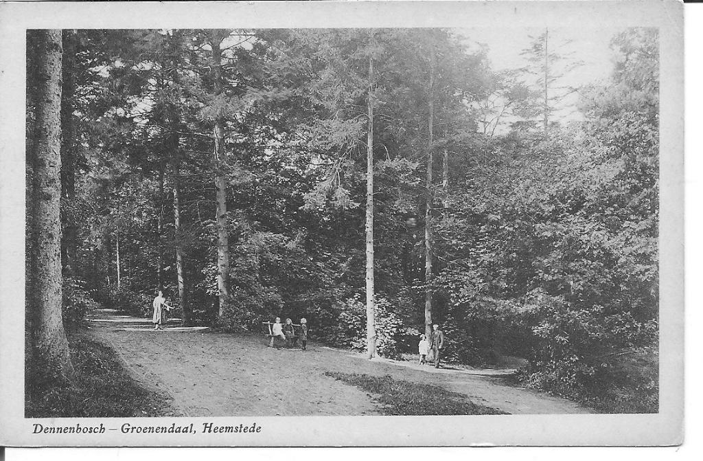 Dennenbosch Groenendaal Heemstede., Ophalen of Verzenden, 1920 tot 1940, Ongelopen, Noord-Holland
