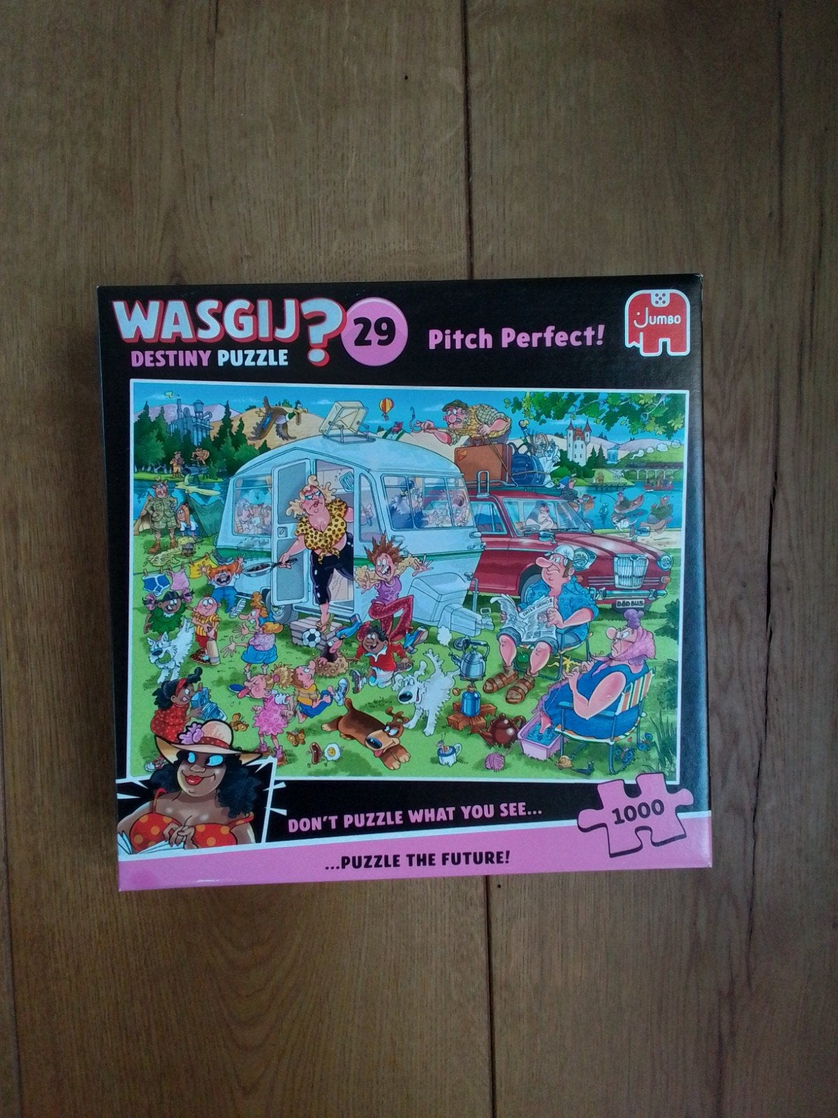 Jumbo Wasgij? en Jan van Haasteren Puzzels (1000/950 stukje), Ophalen of Verzenden, 500 t/m 1500 stukjes, Gebruikt, Legpuzzel