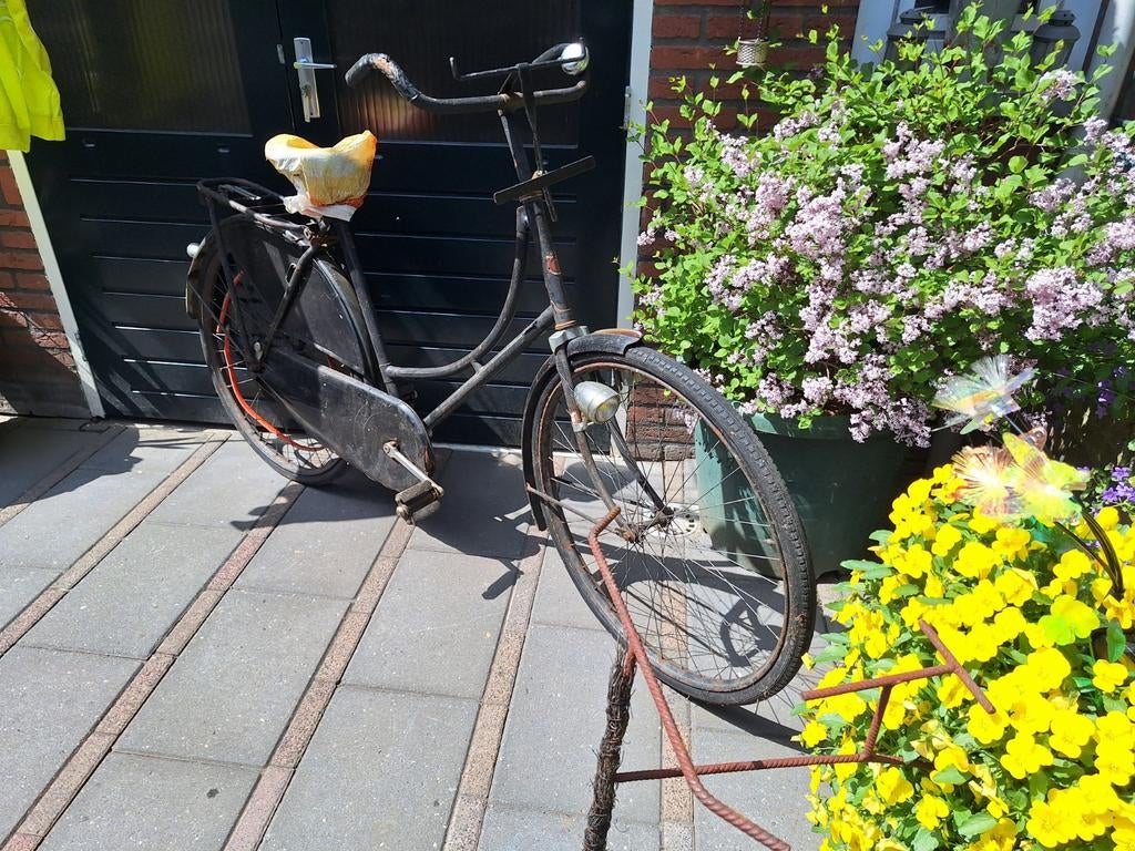 BURCO Amsterdam omafiets, Ophalen, Terugtraprem, BURCO Amsterdam, 51 tot 55 cm