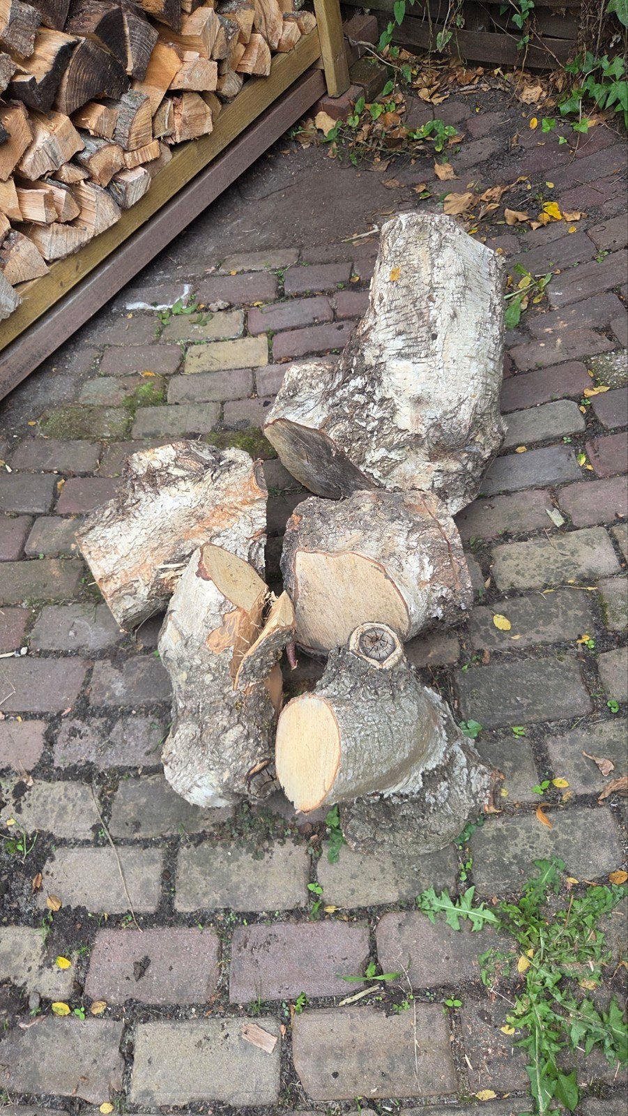5 stukken  berkhout, Minder dan 3 m³, Ophalen, Berkenhout, Stammen