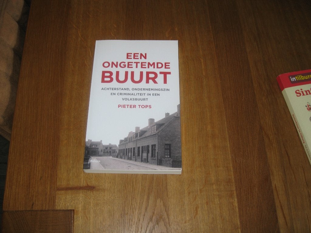 De ongetemde buurt (Broekhoven Tilburg), Boeken, 20e eeuw of later, Pieter Tops, Ophalen of Verzenden, Zo goed als nieuw
