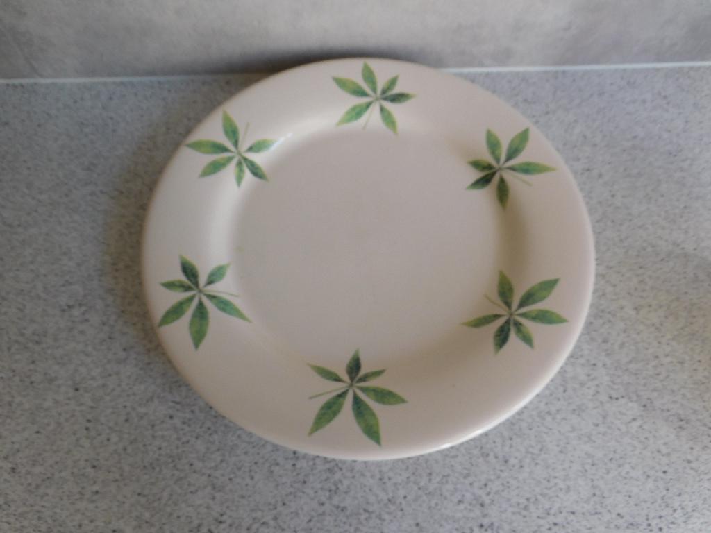 Bord 21,5 cm. Pachira Aquatica JET by ter Steege, Ophalen of Verzenden, Zo goed als nieuw, Bord(en), Overige stijlen