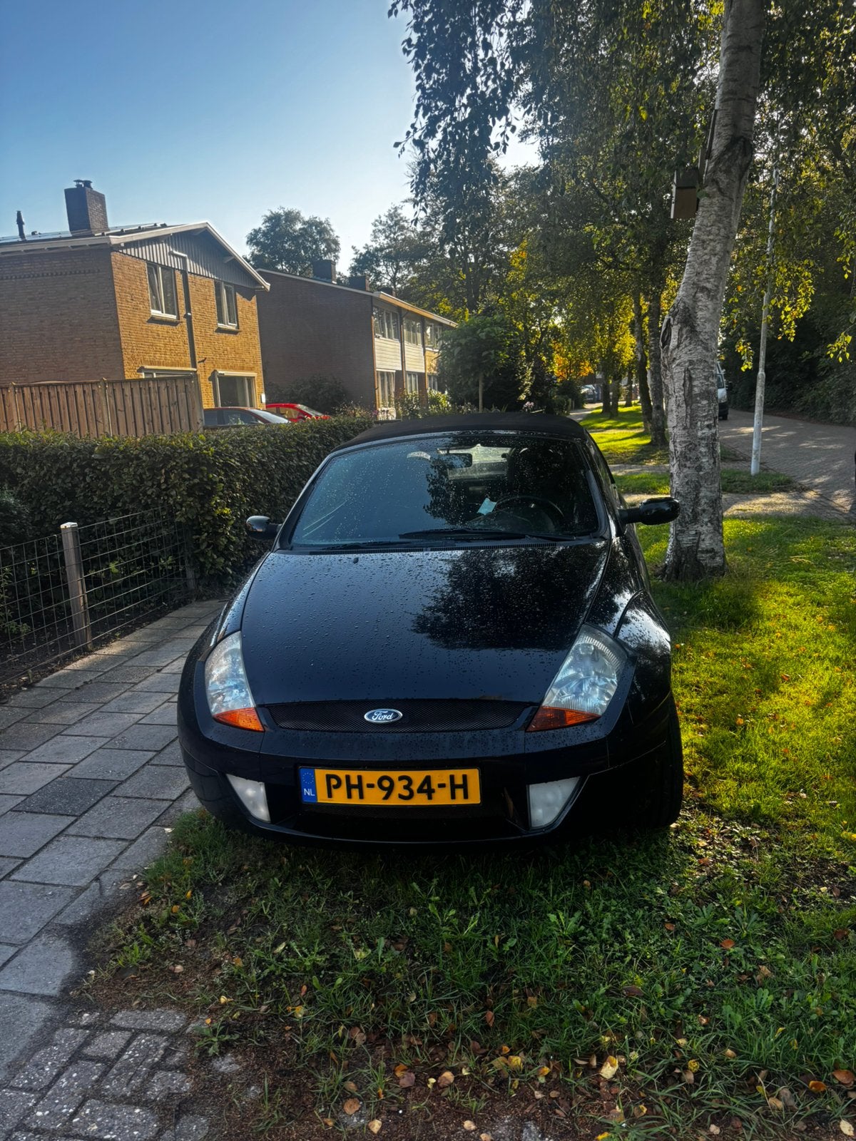 Ford Ka 1.6 Streetka 2003 Zwart, 40 €/maand, 1599 cc, Zwart, Handgeschakeld
